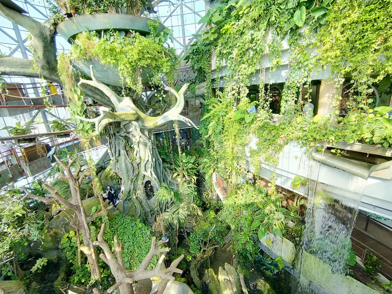 City Walk, Dubai