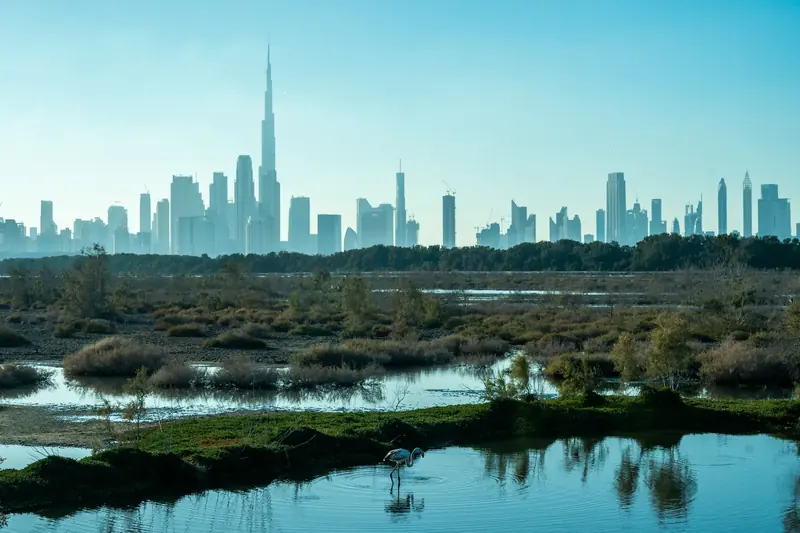 Ras Al Khor, Dubai