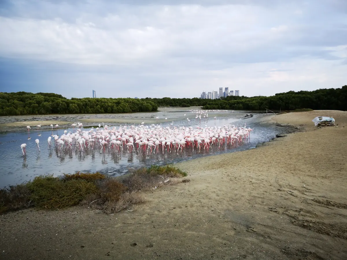 Ras Al Khor, Dubai